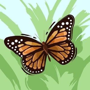 Meet your Posher, Stasi